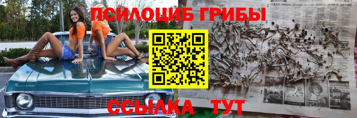 Рыбинск  Галлюциногенные грибы ЛСД  Вход с VPN 