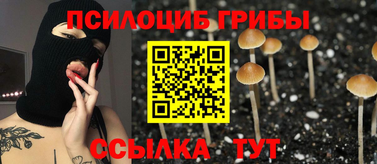 Псилоцибиновые грибы Cubensis Рыбинск